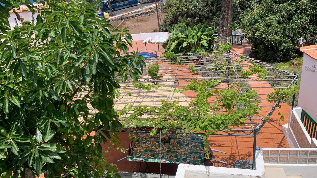 Apartamentos Villa Aurora Valle Gran Rey Kültér fotó